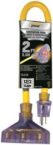 Extension Cords and Outlet Adapters