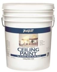 Interior Paints