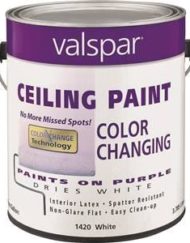 Interior Paints